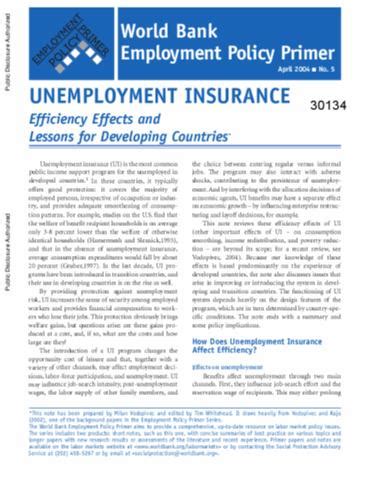 Unemployment Insurance: Efficiency Effects and Lessons for Developing Countries