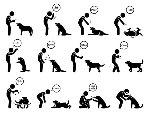 How to Communicate With a Deaf Dog? (Hand Signals Chart) | Dog Advisory Council