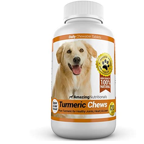 6 Best Dog Pain Relief Aids of 2020 (Dog Pain Reliever Buying Guide)