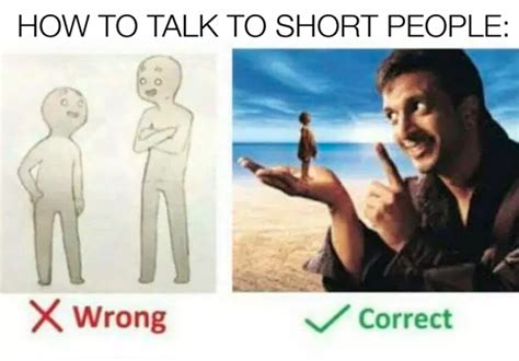 16 Tips For Talking To Short People That You Didn't Know You Needed | Short people, Really funny ...