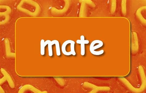 mate | LearnEnglish Kids | British Council