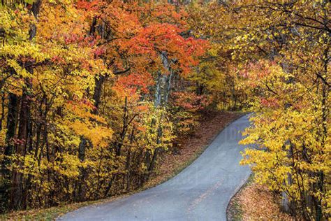 Autumn color at Brown County State Park near Nashville, Indiana, USA ...