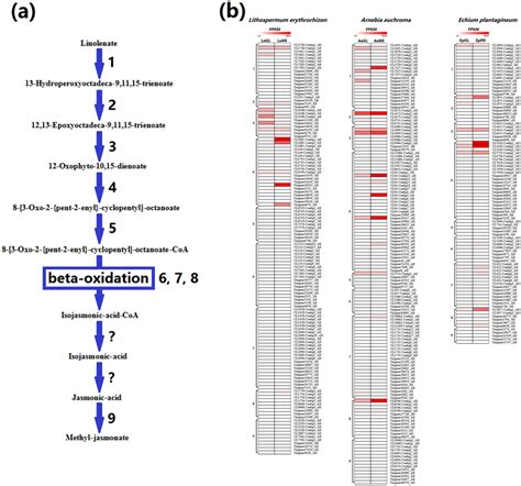 Unigene expression involved in methyl jasmonate biosynthesis in... | Download Scientific Diagram