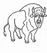 Buffalo Wild Wings Coloring Sheet Coloring Pages sketch template