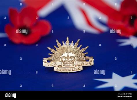 An Australian army rising sun badge on an Australian flag with red poppies in the background for ...