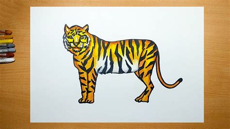 How To Draw A Tiger Walking Drawings Animal Drawings Tiger Kids | Images and Photos finder