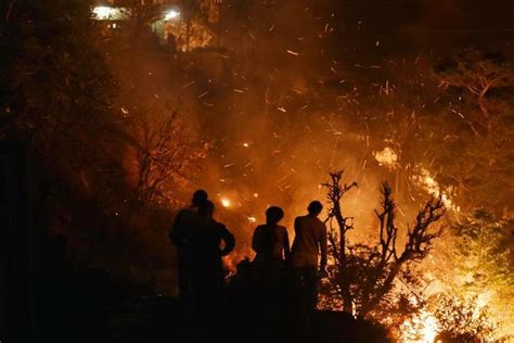 Over 6,000 personnel deployed to douse Uttarakhand forest fire - Livemint