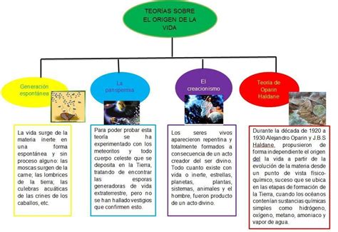 mapa mental que represente las diferentes teorías y explicaciones del origen de la vida ...