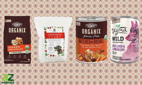 Best Organic Dog Food: Reviewed for You - A-Z Animals