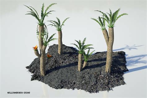 ArtStation - Prehistoric plants | Resources