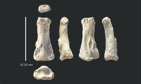 Finger bone points to early humans in Arabia - Newspaper - DAWN.COM