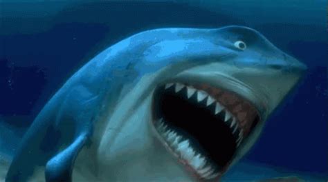 Bruce Nemo GIF - Bruce Nemo Shark - Discover & Share GIFs