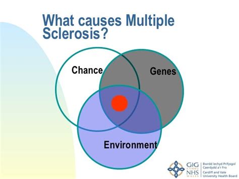 multiple sclerosis causes - DriverLayer Search Engine