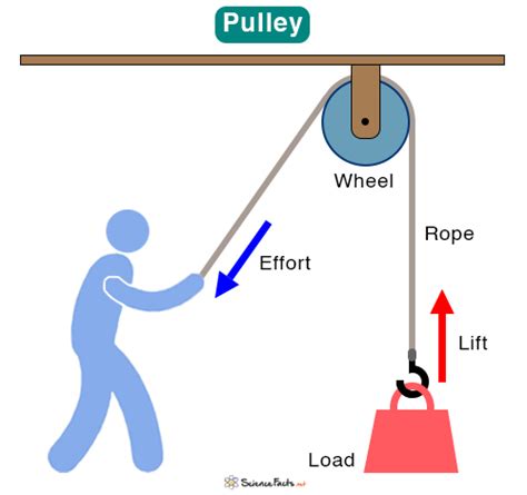 Simple Machines: Definition, Types, and Examples