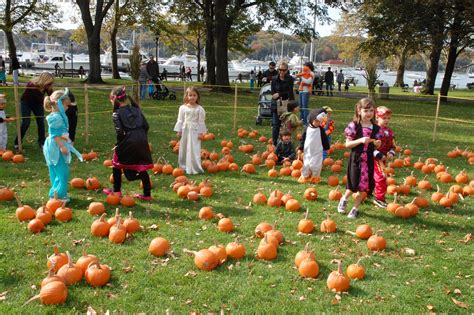 Halloween Hayrides in the Park | Northport, NY Patch