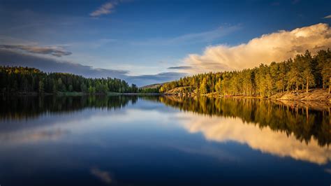 Norway Forest Lake With Reflection Of Blue Sky Trees And Clouds HD Nature Wallpapers | HD ...