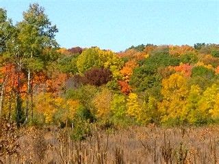 Morning Walk Wisconsin Fall Colors, Fall Foliage Map, Wisconsin Travel ...