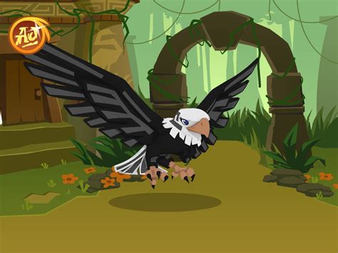 Animal jam eagle - Animal Jam Fan Art (36730994) - Fanpop