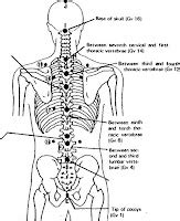 Yoga Tools: 5 Ways to Use and Understand the Spinal Roller