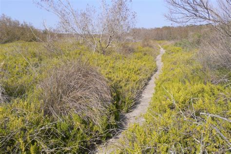 Everglades Habitat Images - Everglades National Park (U.S. National ...