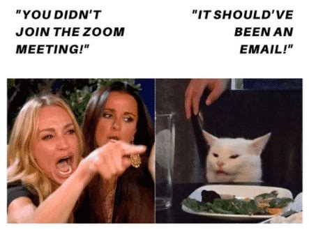 Zoom Memes To Laugh At While Your Mic Is Muted (30 Memes)