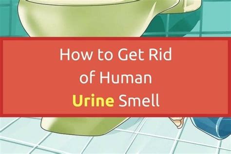 How to Get Rid of Human Urine Smell | Xion Lab