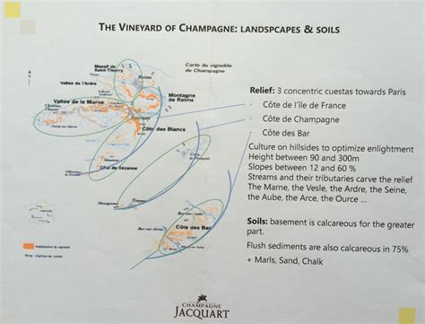 A new view of Champagne regions? : WineWisdom