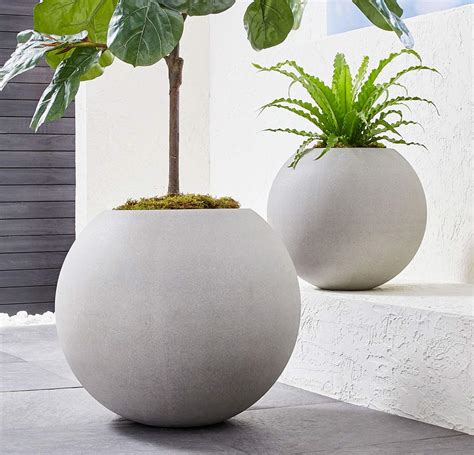Best Places to Buy Concrete Planter Pots Online • The Garden Glove