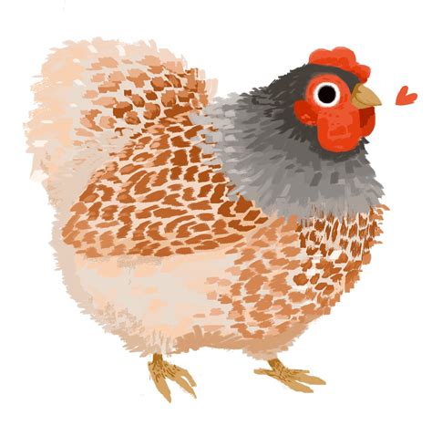 Chicken illustration by parchmiss_art on instagram | Chicken illustration, Chicken art, Bird art