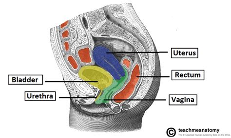 Hysterectomy - Procedure - Indications - Complications - TeachMeObGyn