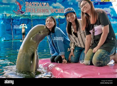 Irrawaddy Dolphin, Human animal interaction Stock Photo - Alamy