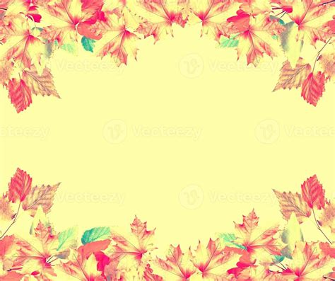 autumn leaves isolated on yellow background. 10021961 Stock Photo at ...