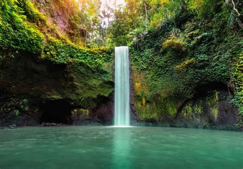 Beautiful jungle waterfall nature murals - TenStickers