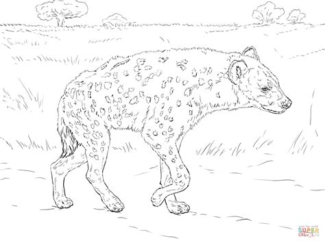 Spotted Hyena Walking In The Savannah coloring page | Free Printable ...