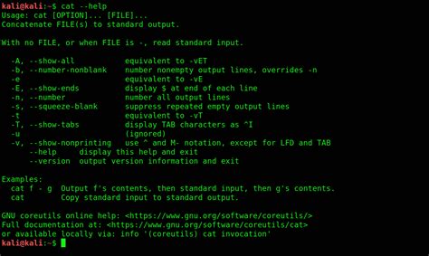 The 22 most basic commands of Kali Linux