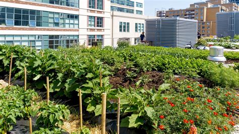 Urban Agriculture - FoodPrint