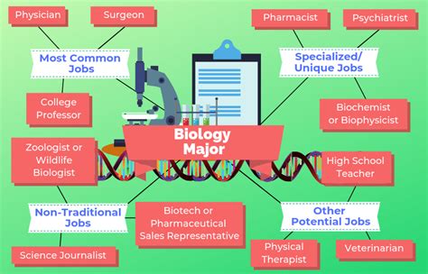 12 Biology Degree Jobs and Their Prospective Salaries | TUN