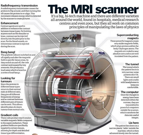 Inside Mri Machine