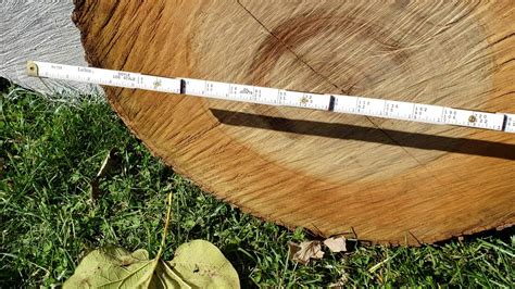 How to Measure Logs for board feet and weight - YouTube