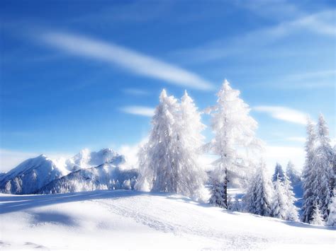 🔥 [40+] Snowy Landscapes Wallpapers | WallpaperSafari