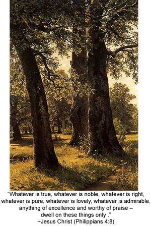 Celtic Meaning of Oak Tree | Outdoor Junkie :) | Pinterest