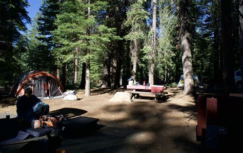 William Kent Campground - 49 Photos & 51 Reviews - Campgrounds - 1995 W Lake Blvd, Tahoe City ...