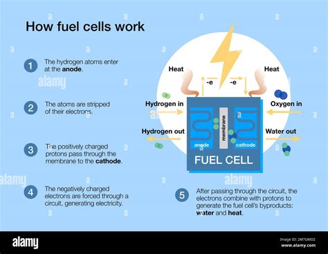 How fuel cells work to produce electricity from hydrogen and air Stock ...