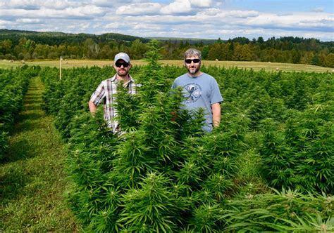 Hunger Mountain Hemp Farm Tour - Vermont Hempicurean