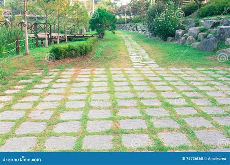 Countryside park stock photo. Image of stone, walking - 75736868