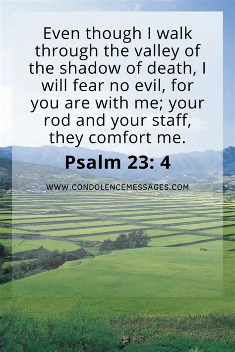 Comforting Bible Verses About Death