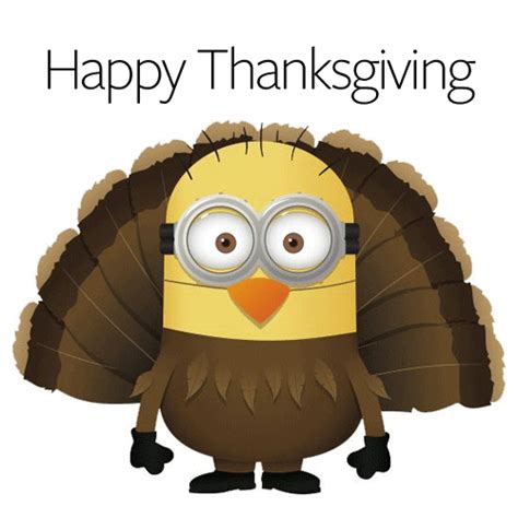 Happy Thanksgiving GIF by Wantering - Find & Share on GIPHY