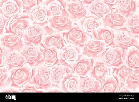 Rose Pattern Background