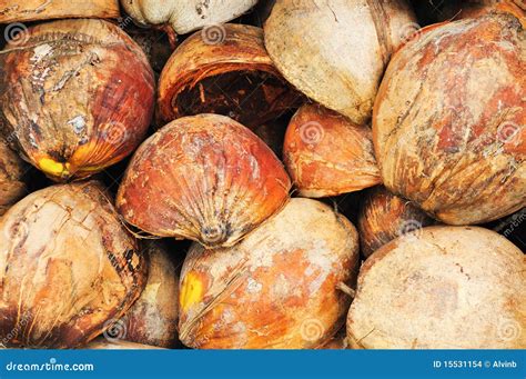 Coconut husks stock photo. Image of dried, market, exotic - 15531154