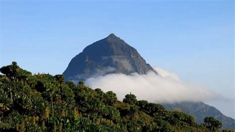 2 Days Mount Karisimbi Hike | Rwanda hiking safari